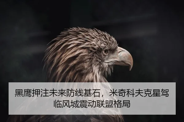 黑鹰押注未来防线基石，米奇科夫克星驾临风城震动联盟格局