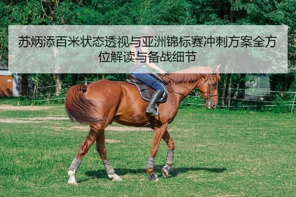 su-bing-tian-bai-mi-zhuang-tai-tou-shi-yu-ya-zhou-jin-biao-sai-chong-ci-fang-an-quan-fang-wei-jie-du-yu-bei-zhan-xi-jie-2-838.jpg